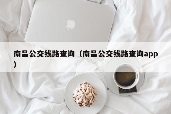 南昌公交线路查询（南昌公交线路查询app）