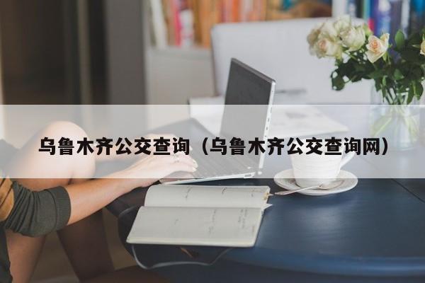 乌鲁木齐公交查询（乌鲁木齐公交查询网）