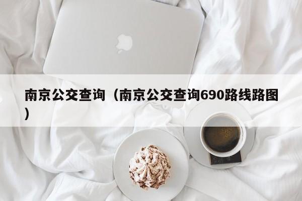 南京公交查询（南京公交查询690路线路图）