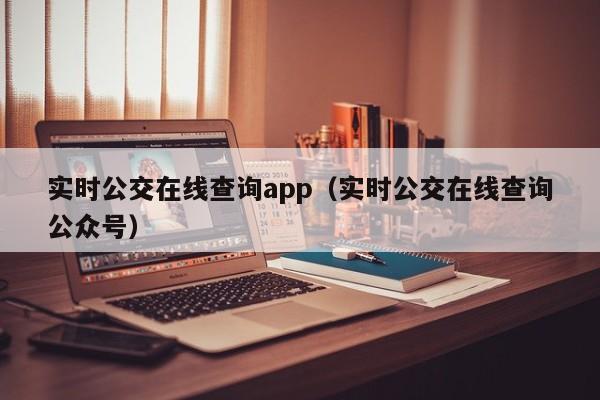 实时公交在线查询app（实时公交在线查询公众号）